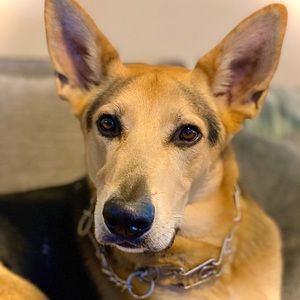 Meet your Posher, Salena